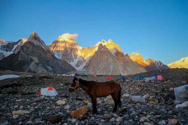 namioty kempingowe w Concordia Camp Broadpeak Mountain K2 Base Camp Pakistan