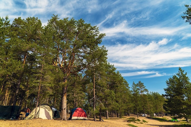 Namioty na piaszczystej plaży wśród sosen Jezioro Ładoga Karelia