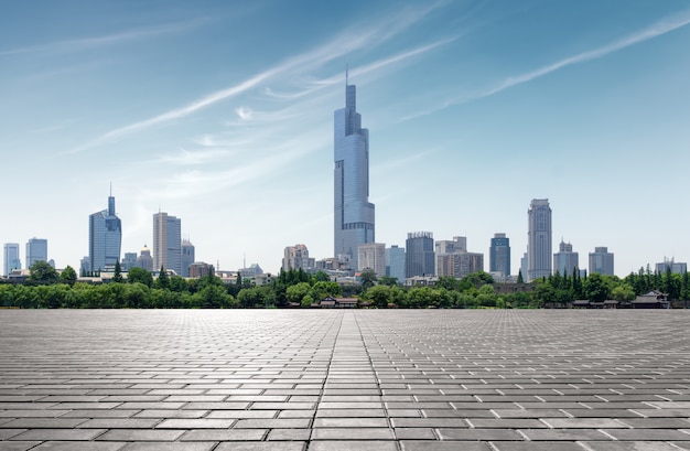 Nanjing Xuanwu Lake City View