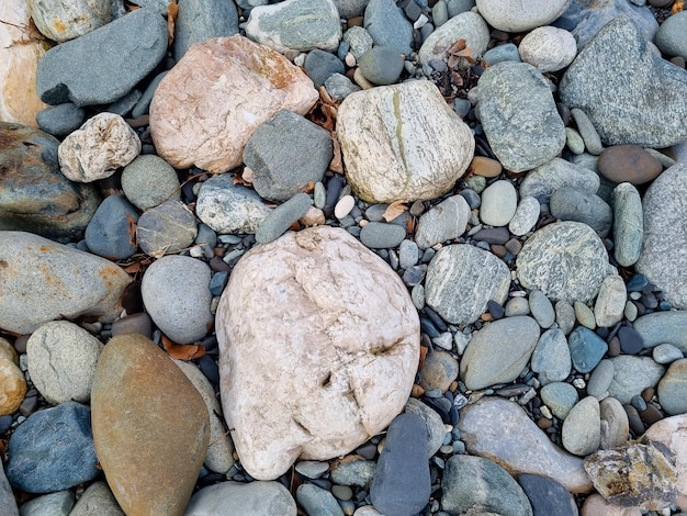 Naostrzone kamienie na brzegu górskiej rzeki