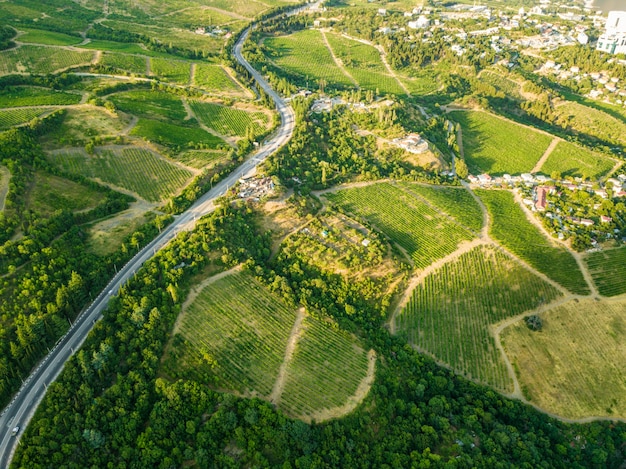 Napowietrzne plantacje w górach w sezonie letnim w pobliżu wioski