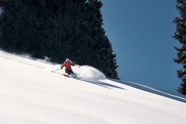 Narciarz freeride skręca w sypki śnieg w słoneczny dzień