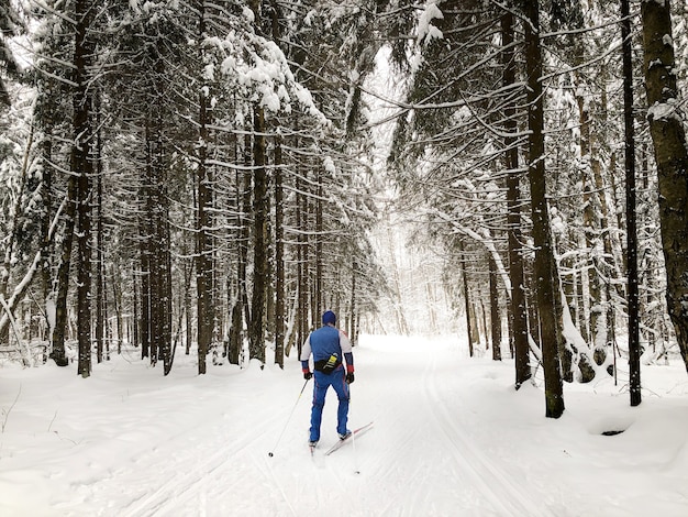 Narciarz na nartach wśród pokrytych śniegiem jodł w lesie. Sporty zimowe i aktywny zdrowy tryb życia