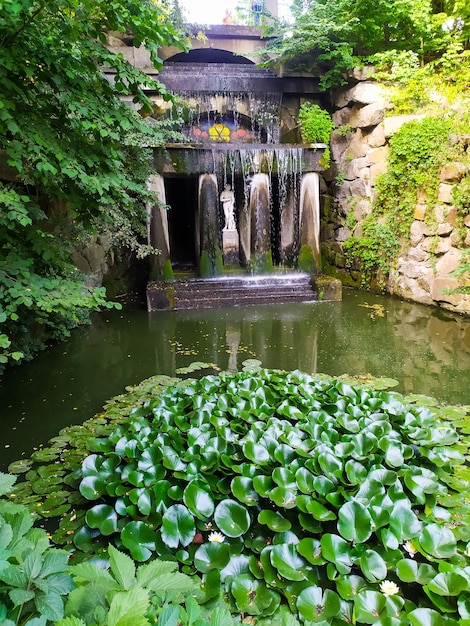 Narodowy park dendrologiczny Sofiyivka