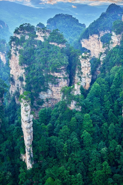 Zdjęcie narodowy punkt widokowy zhangjiajie wulingyuan obszar widokowy z piaskowca światowe dziedzictwo naturalne