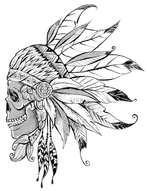 Narysowana tuszem czaszka vintage ozdobiona piórami Idealna do nadruku na koszulce lub tatuażu