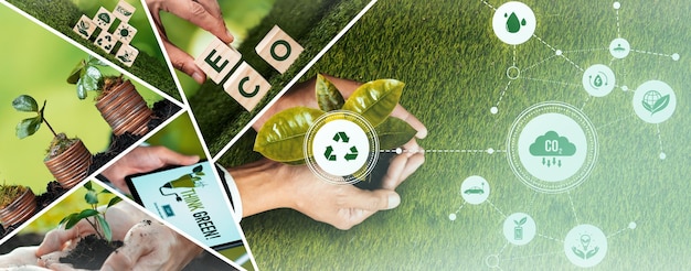 Narzędzie zarządzania ekologicznym biznesem ESG, aby uratować światową przyszłość LCA dla lepszych dni
