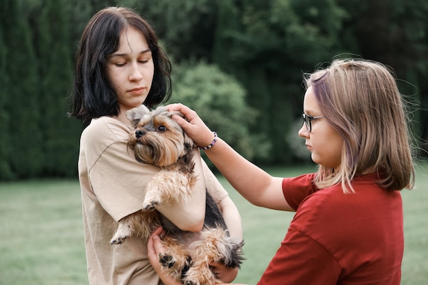 Nastoletnie dziewczyny na spacerze w letnim parku ze swoim zwierzakiem Yorkshire terrier Dzieci wyprowadzają psa