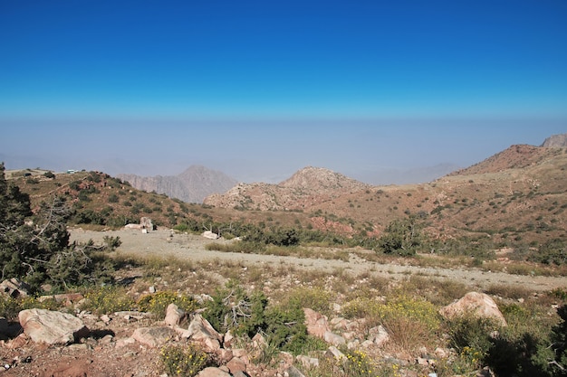 Natura gór Hejaz w pobliżu miasta Taif w prowincji Mekka Arabia Saudyjska