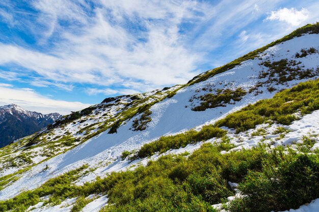 Natura, Góry I Lasy W Hehuanshan Na Tajwanie