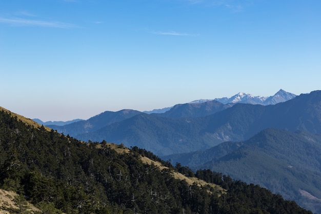 Natura, góry i lasy w Hehuanshan na Tajwanie