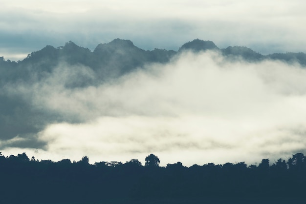 Zdjęcie natura krajobrazowy widok tropikalny las tropikalny, khao yai park narodowy, tajlandia