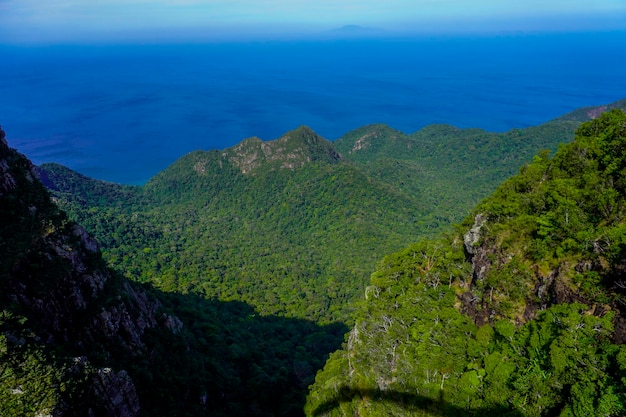 Zdjęcie natura wyspy langkawi w malezji góry i dżungla