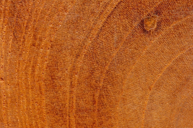 Zdjęcie natura wzór powierzchni drewna tekowego na tle