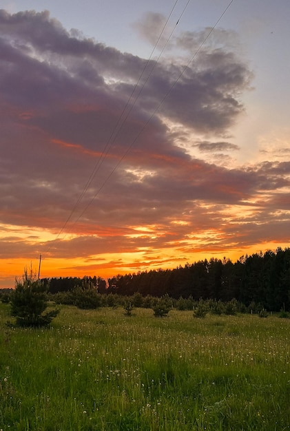 Natura zachód słońca na tle pól i lasów w oddali