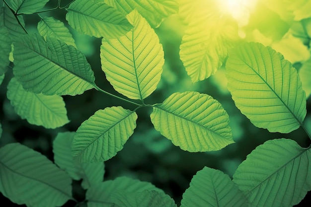 Natura zielonych liści w ogrodzie latem Naturalne zielone liście rośliny wykorzystujące jako wiosenne tło strona tytułowa zieleń środowisko ekologia tapeta generuje ai