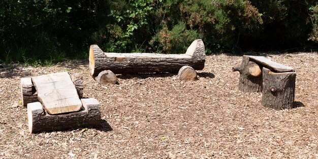 Natural Log Domowa Drewniana ławka Rustykalna W Pniu Drzewa W Parku Trzy