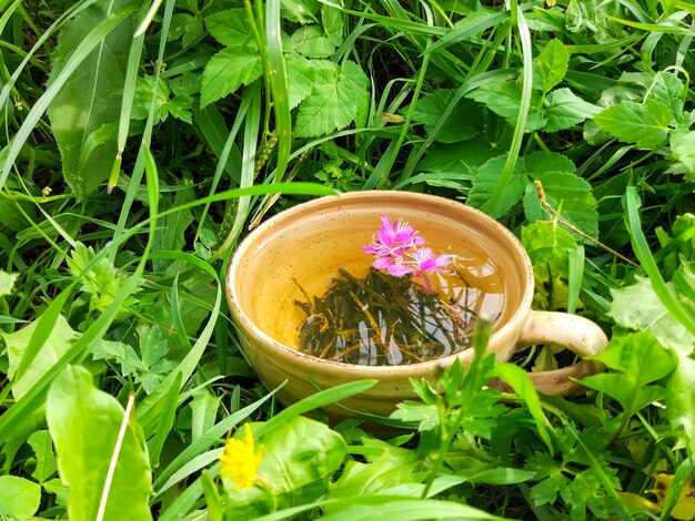 Naturalna Herbata Ziołowa Z Wierzbą Lekarską, świeżymi Fioletowymi Kwiatami I Liśćmi W Ceramicznym Kubku Na Zielonej Letniej Trawie.