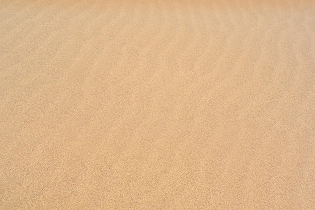 Naturalna piaszczysta powierzchnia pustyni z falami wiatru