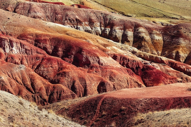 Naturalna tekstura piaskowca w kolorowym Marsie w górach Ałtaj w Republice Ałtaju w Rosji
