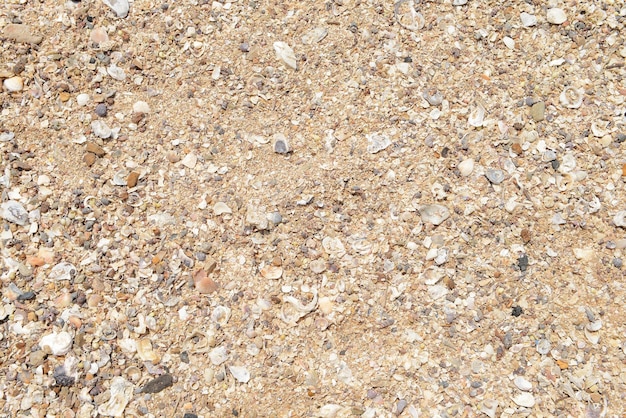 Naturalna tekstura z wieloma małymi połamanymi koralowymi muszlami i piaskiem na plaży xA