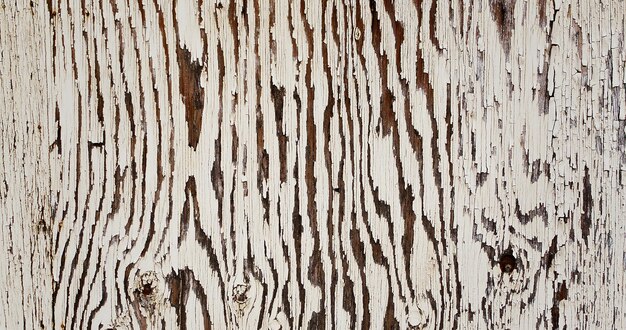 Naturalna Teksturowana Powierzchnia Drewniana