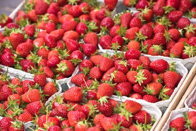 Naturalne Ekologiczne Truskawki W Pudełkach Na Targu Rolniczym