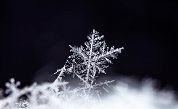 naturalne płatki śniegu na śniegu obrazek wykonany w temperaturze 10 C