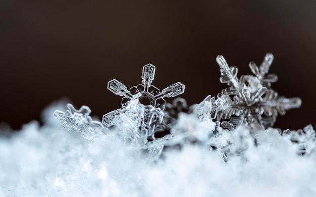 naturalne płatki śniegu na śniegu obrazek wykonany w temperaturze 10 C