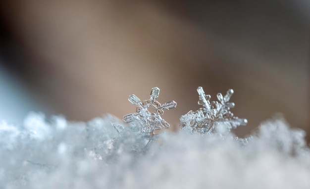 naturalne płatki śniegu na śniegu zima