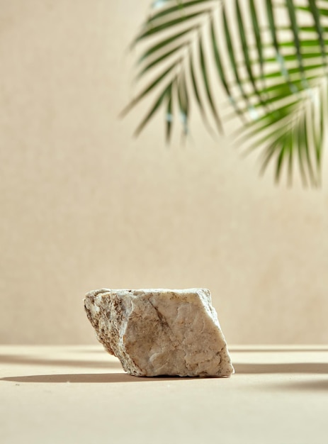 Naturalne podium z kamienia ze skałą palmową pozostawia cień beżowy dno i minimalistyczne tło