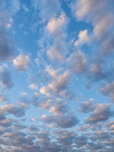 Zdjęcie naturalne różowe chmury na błękitnym niebie o wschodzie słońca dominikana