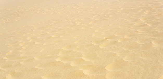 Naturalne tło piaszczysta powierzchnia pustyni z wydmami