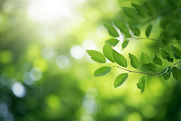 Naturalne wiosenne niewyraźne liście ogrodowe