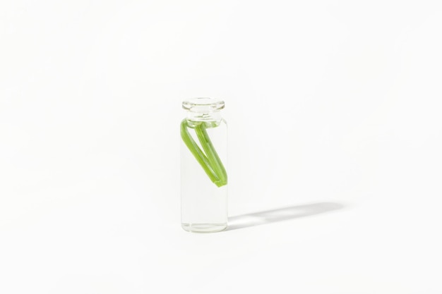 Zdjęcie naturalne zielone laboratorium eksperymenty szklany słoik laboratoryjny z zielonymi roślinami na jasnym tle