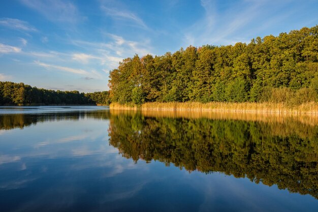 Naturalny krajobraz jeziora wysokiej rozdzielczości ruch fal na tle au