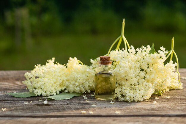 Naturalny olejek eteryczny z pachnących kwiatów czarnego bzu