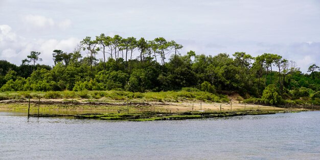 Naturalny piasek na plaży z błękitną wodą na wybrzeżu Talmont-Saint-Hilaire we francji