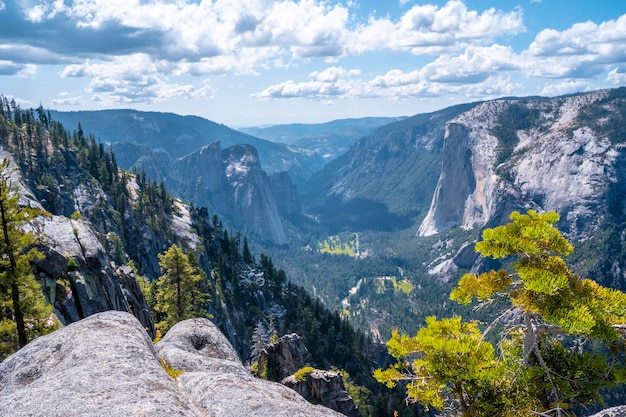 Naturalny punkt widokowy, aby zobaczyć Park Narodowy Yosemite i El Capitan w Stanach Zjednoczonych