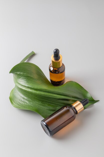 Naturalny serum olejów eterycznych w błękitnych szklanych butelkach na szarym tle z zielonymi tropikalnymi liśćmi Medycyna alternatywna aromatyczne ziołowe kosmetyki do pielęgnacji skóry Minimalna przestrzeń do kopiowania