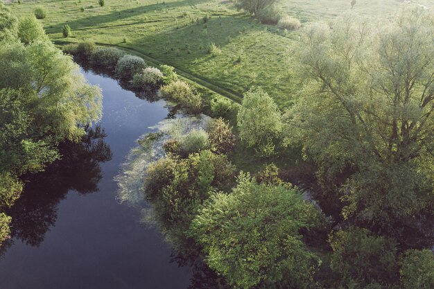 Naturalny sezonowy wiosenny krajobraz ze słonecznymi drzewami, zielona łąka i rzeka z odbiciem