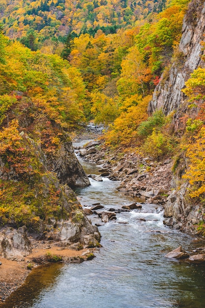 Naturalny strean i woda spadają w Japonii w czasie zmiany koloru.