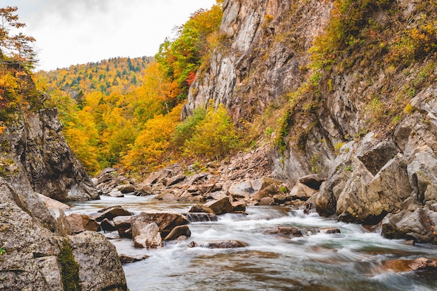 Naturalny Strean I Woda Spadają W Japonii W Czasie Zmiany Koloru.