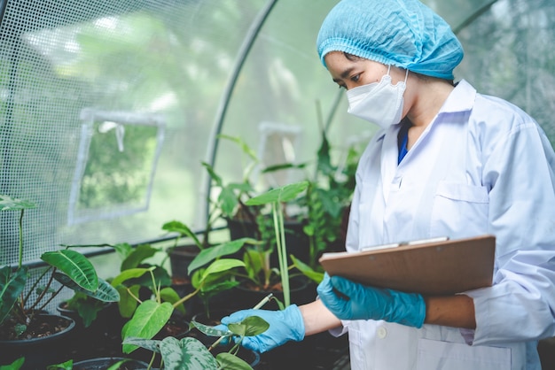 Naukowiec Biologii Pracujący Nad Badaniem Roślin Wzrostowych W Szklarni Rolniczej, Nauka Ekologiczna Technologia Lub Biotechnologia W Laboratorium Botaniki, Ludzie Badający Warzywa Dla Przemysłu Spożywczego