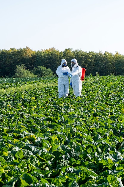 Naukowiec I Agronom Maska Chemiczna I Okulary Na Polu Farmy