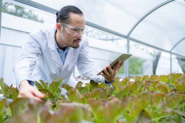 Naukowiec Pracujący Nad Badaniami W Rolnictwie Zielona Roślina W Szklarni Laboratorium Naukowego Biologii, Organiczny Test Eksperymentu Dla Medycznej Biotechnologii żywności, Biolog Botanika Ekologia W Rozwoju Rolnictwa