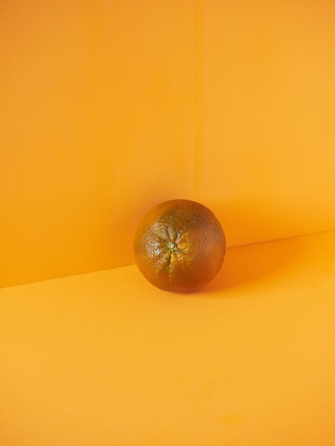 Navel Chocolate orange citrus sinensis Cały izolowany kawałek na pomarańczowym tle