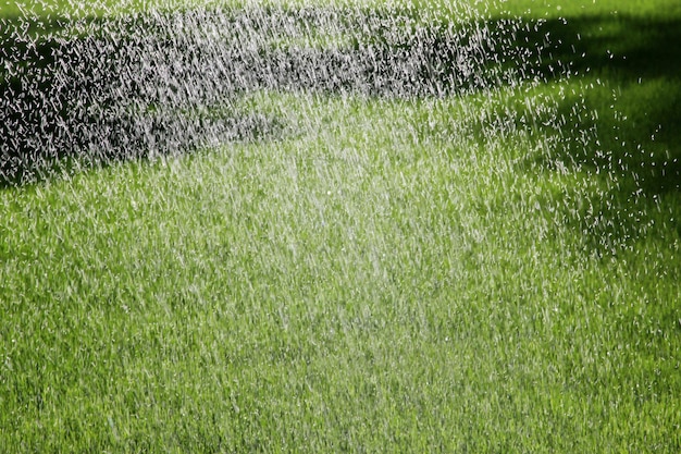 Nawadnianie ogrodu Krople wody w powietrzu