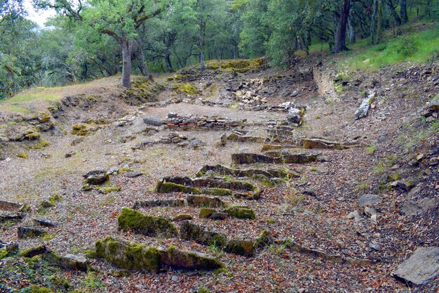 Zdjęcie nekropola z epoki żelaza w los castros de lastra valdegovia alava kraj basków hiszpania