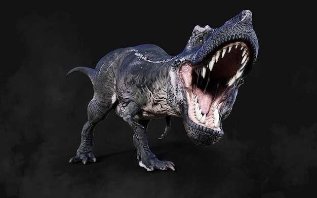 Zdjęcie niebezpieczny tyrannosaurus rex działa i pozuje na białym tle na czarnym tle ze ścieżką przycinającą